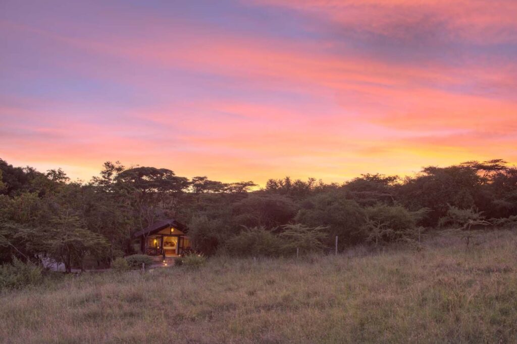 Oloip Bar | Sarova Mara Game Camp