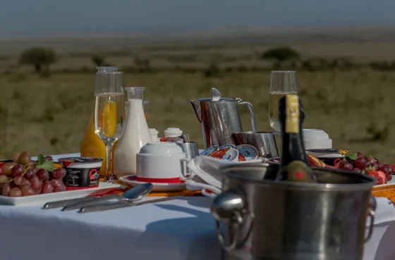 Bush Dining