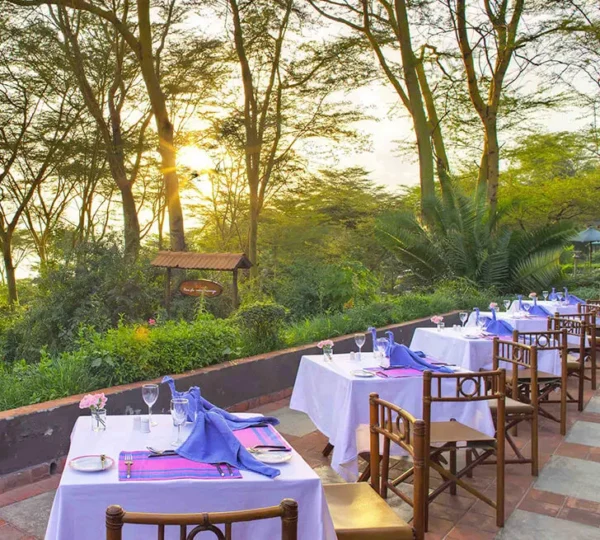 Flamingo Restaurant |  Sarova Lion Hill Game Lodge