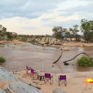 Experiential Dining