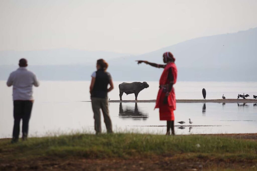 The Courtyard | Sarova Woodlands Hotel & Spa