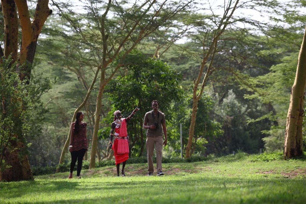 Flamingo Restaurant |  Sarova Lion Hill Game Lodge