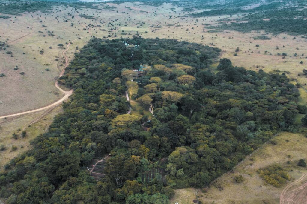 Experiential Dining | Sarova Mara Game Camp