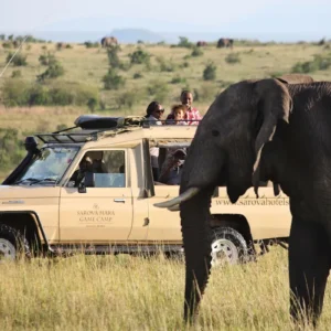 Sarova Mara Game Camp