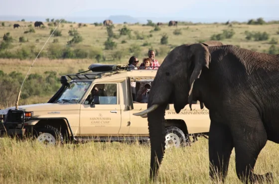 Sarova Mara Game Camp